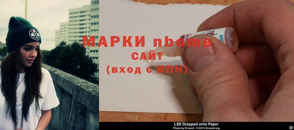хмурый Алексин