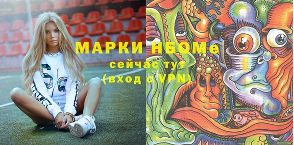 хмурый Алексин