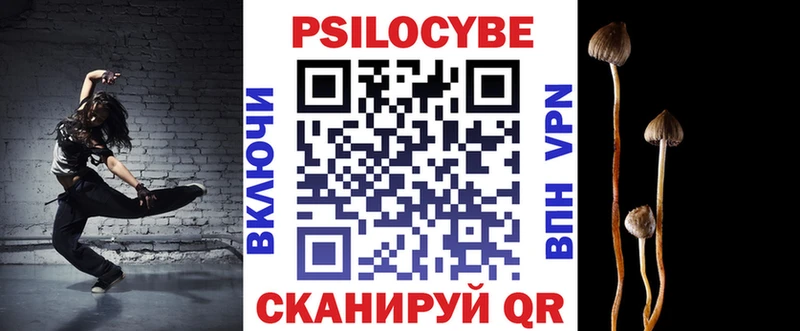 Псилоцибиновые грибы Psilocybe Строитель