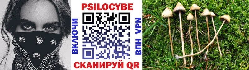 Псилоцибиновые грибы Magic Shrooms  Строитель 