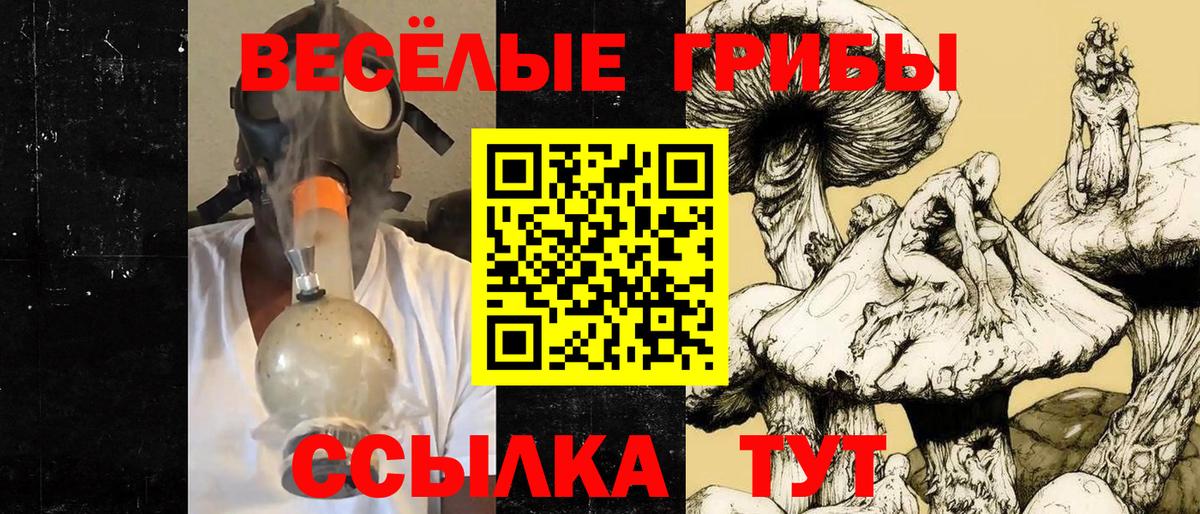 Галлюциногенные грибы Psilocybe Строитель