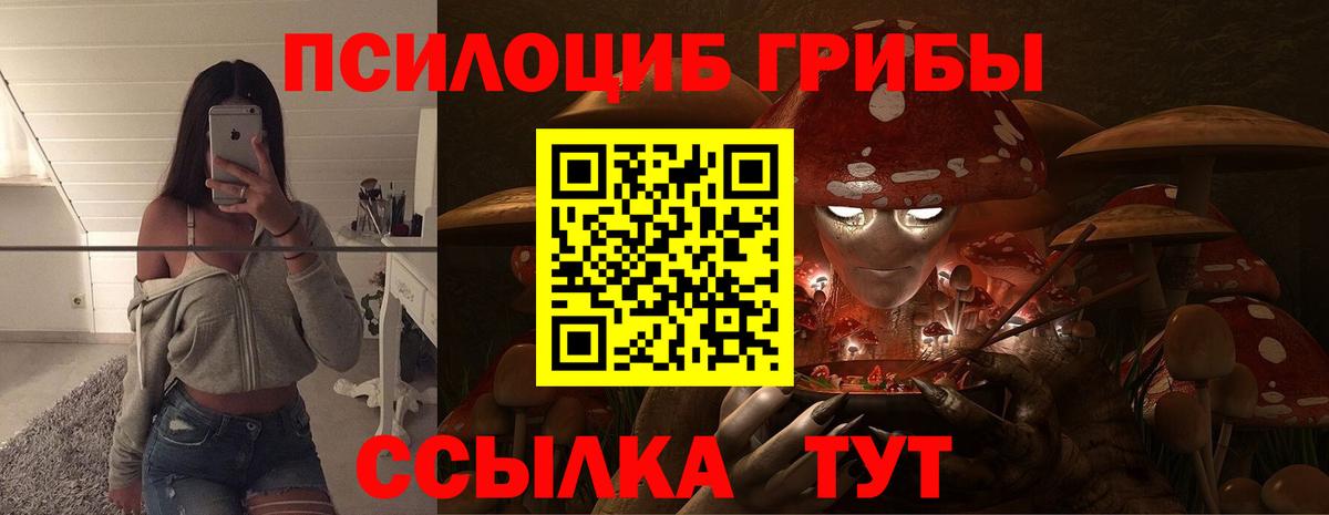 Псилоцибиновые грибы прущие грибы  Вход с VPN  Строитель 